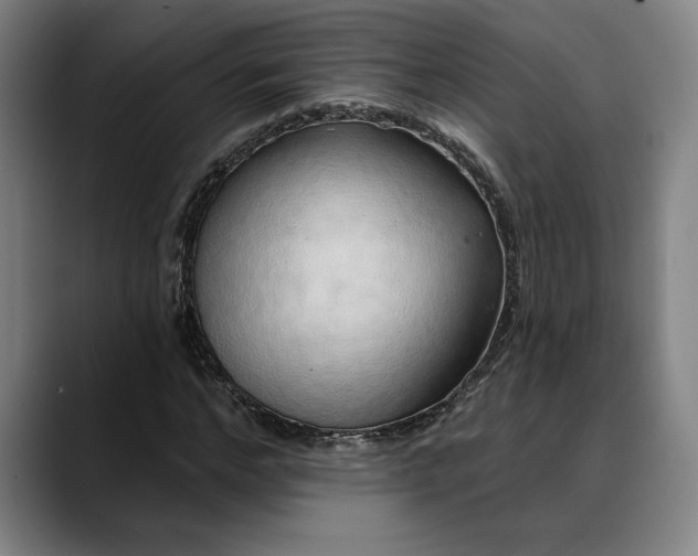 X0000088670968200706141333