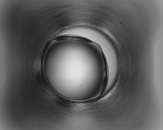 X0000088670969200706141333