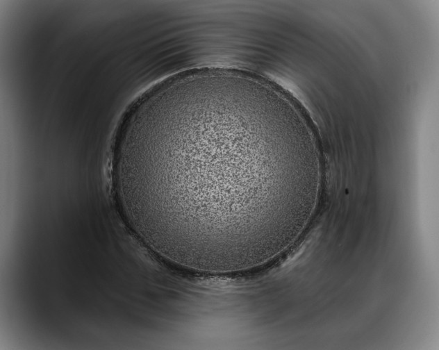 X0000088670971200706141333