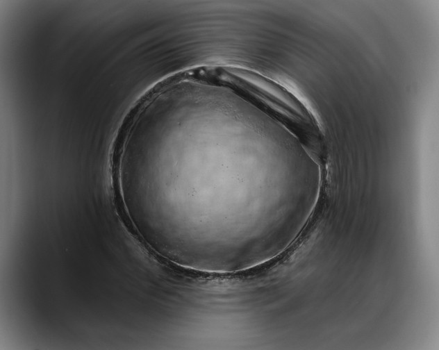 X0000088670972200706141333