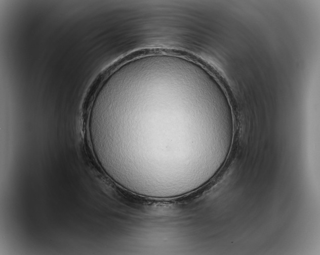 X0000088670974200706141333