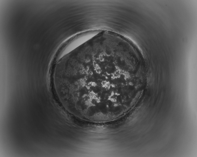 X0000088670975200706141333