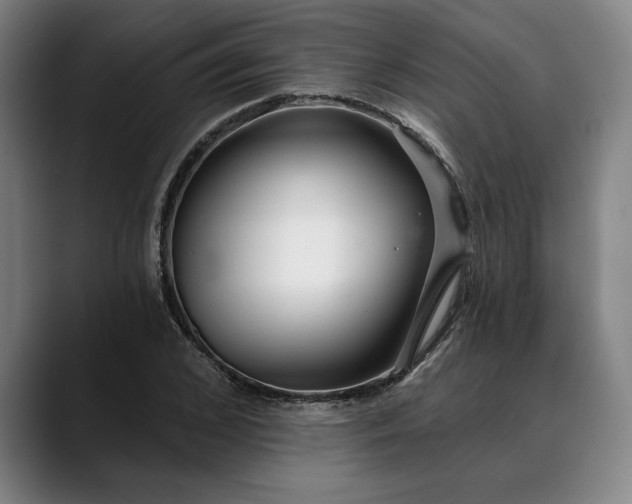 X0000088670976200706141333