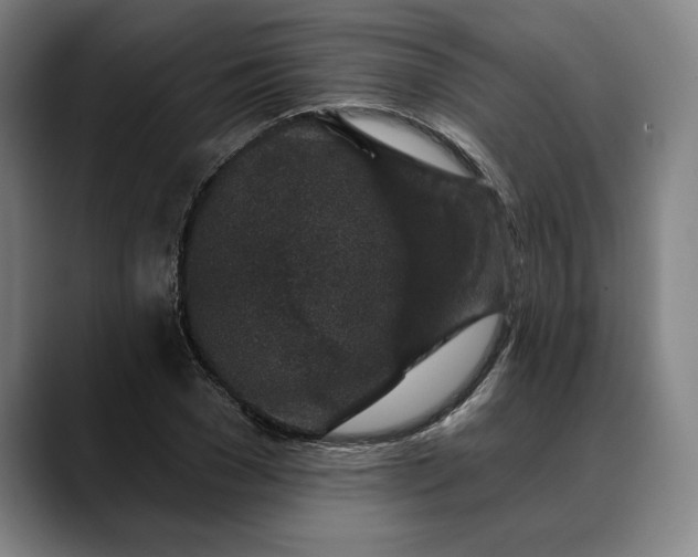 X0000088670977200706141333