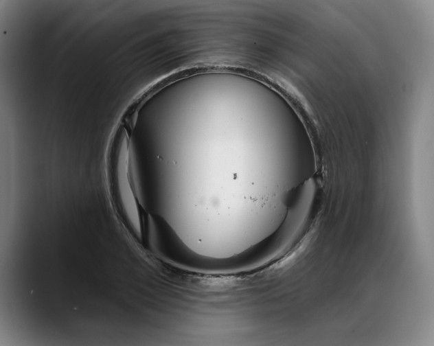 X0000088670981200706141333