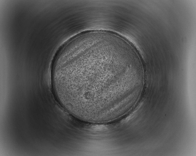 X0000088670982200706141333