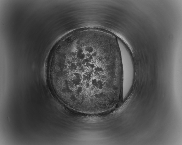 X0000088670983200706141333