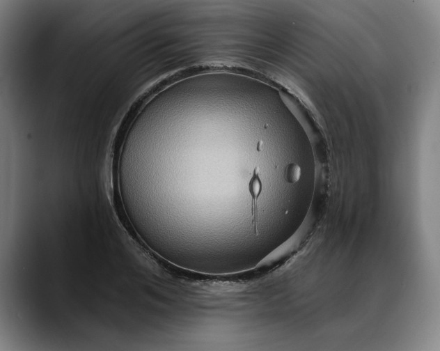 X0000088670984200706141333