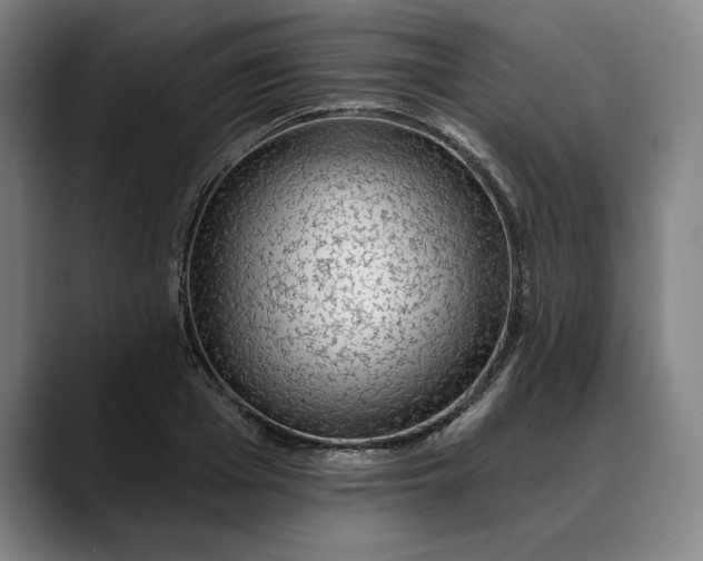 X0000088670985200706141333