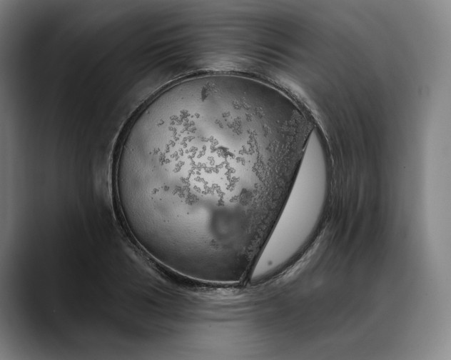 X0000088670986200706141333