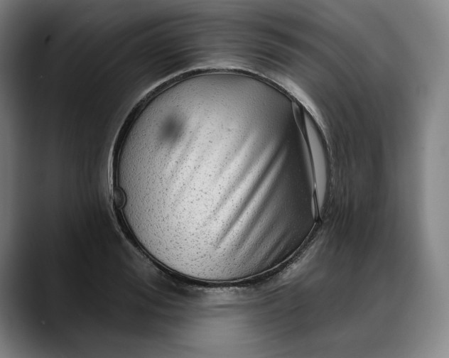 X0000088670988200706141333