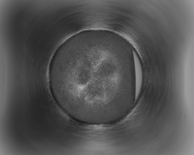 X0000088670990200706141333