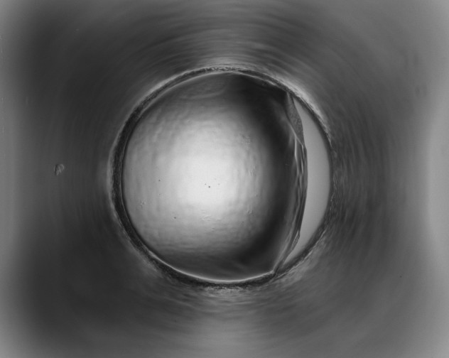 X0000088670991200706141333