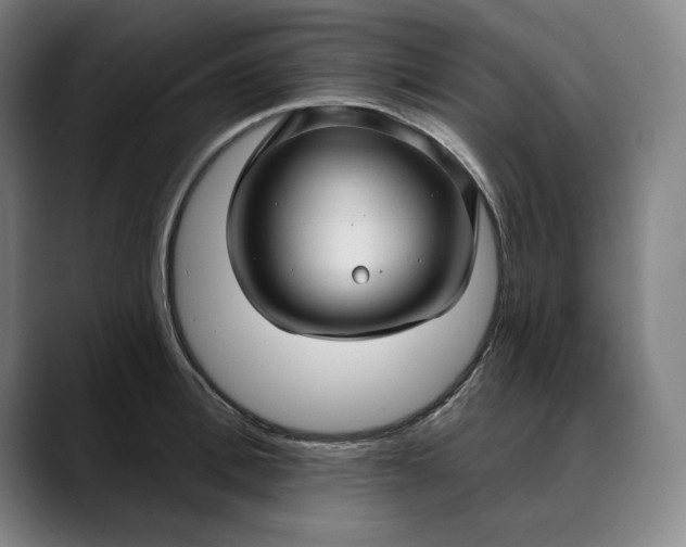 X0000088670996200706141333
