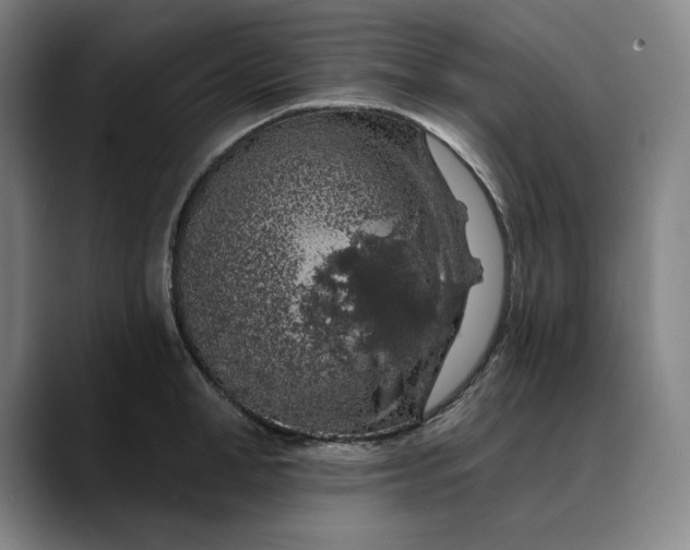 X0000088670998200706141333