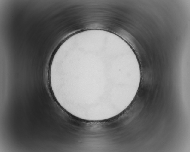 X0000088671000200706141333