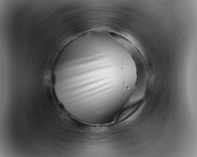 X0000088671001200706141333