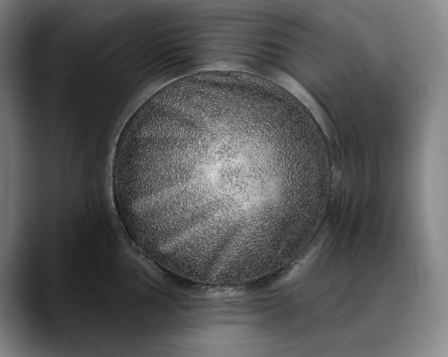 X0000088671002200706141333