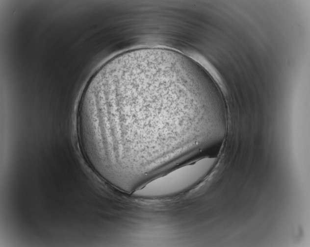 X0000088671004200706141333