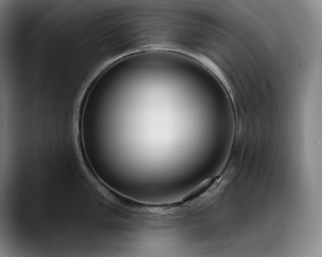X0000088671005200706141333