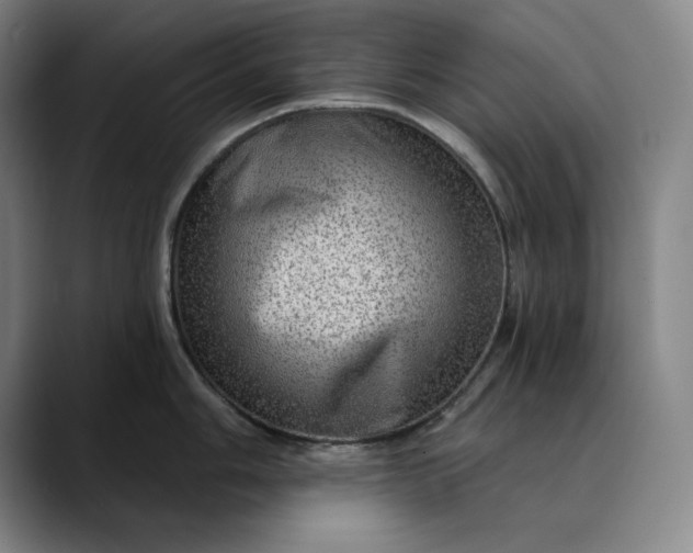 X0000088671006200706141333