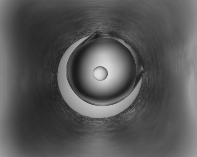 X0000088671010200706141332