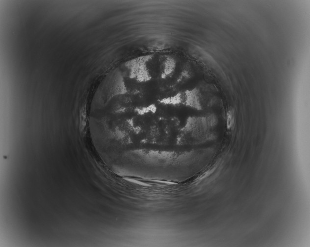 X0000088671011200706141332