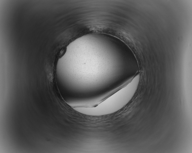 X0000088671012200706141332