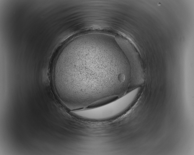 X0000088671018200706141332