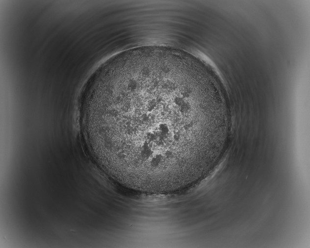 X0000088671019200706141332