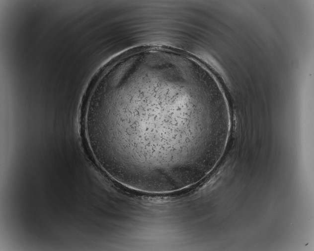 X0000088671020200706141332