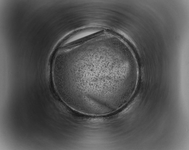 X0000088671021200706141332