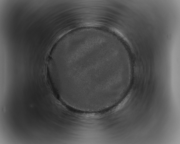 X0000088671025200706141332