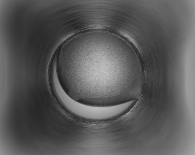 X0000088671026200706141332
