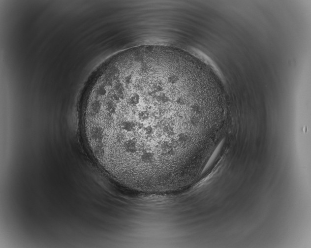 X0000088671027200706141332