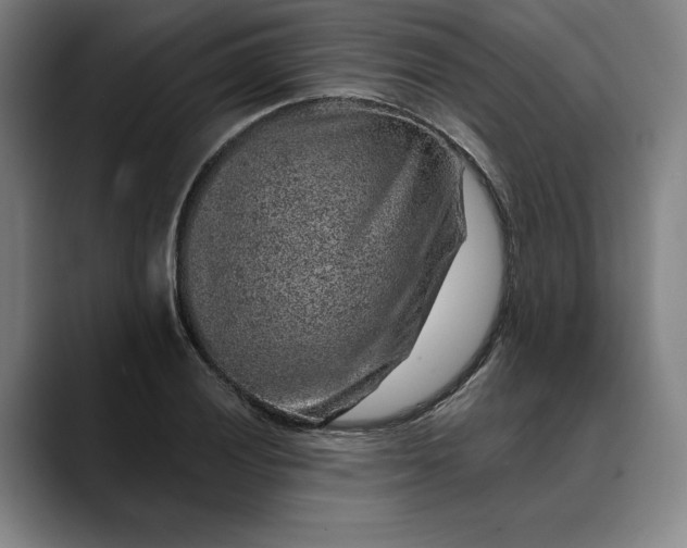X0000088671028200706141332