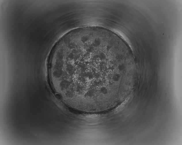 X0000088671031200706141332