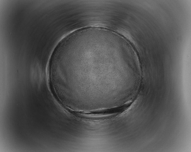 X0000088671032200706141332