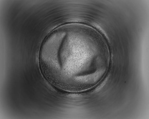 X0000088671033200706141332