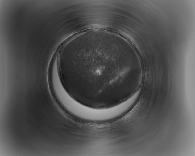 X0000088671034200706141332