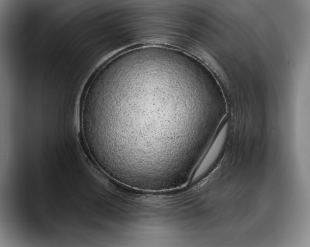 X0000088671036200706141332