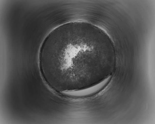 X0000088671038200706141332