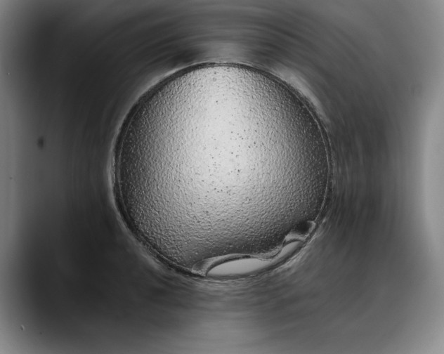 X0000088671040200706141332