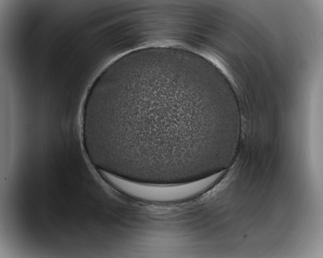X0000088671046200706141332