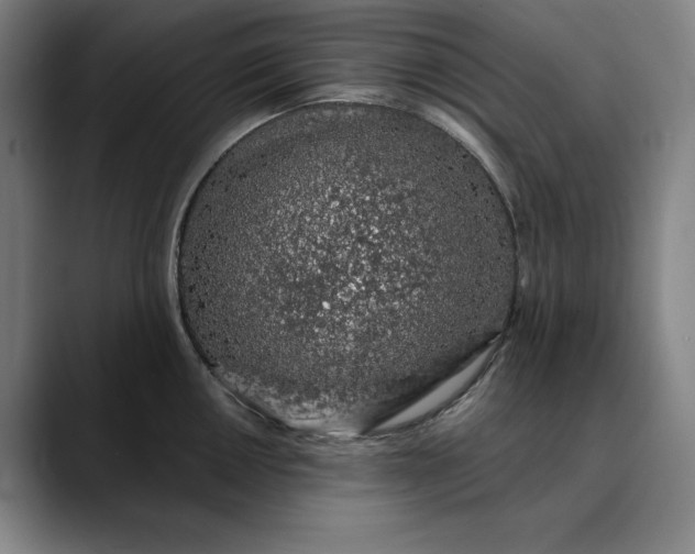 X0000088671050200706141332