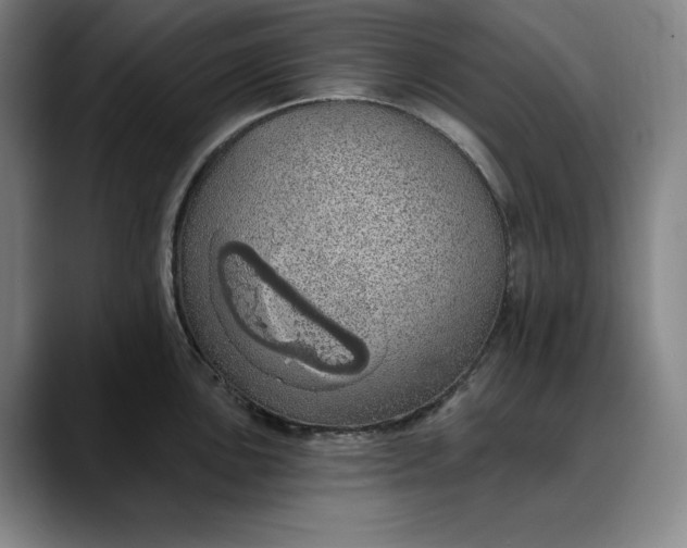 X0000088671051200706141332