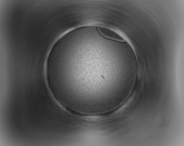 X0000088671053200706141332