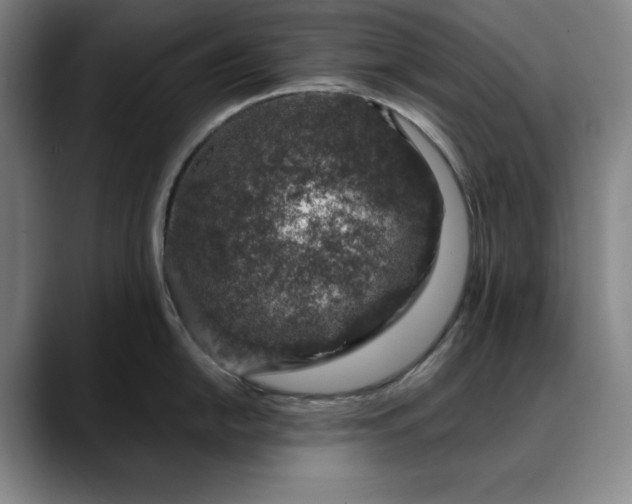 X0000088671054200706141332