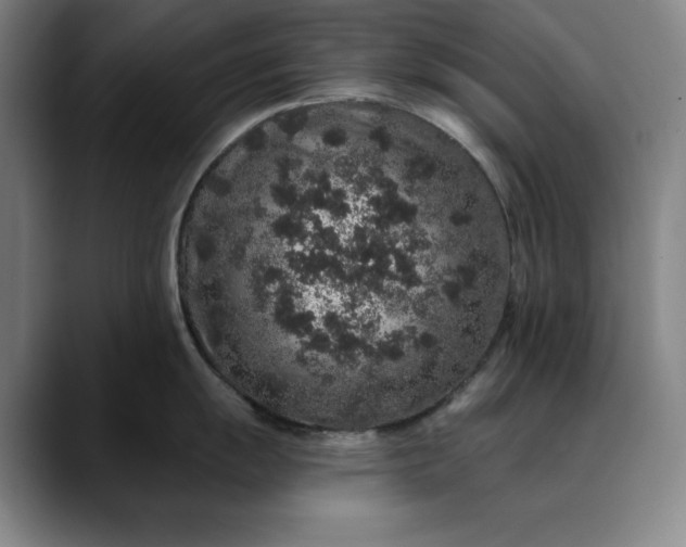 X0000088671055200706141332