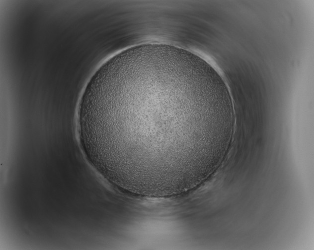 X0000088671056200706141332